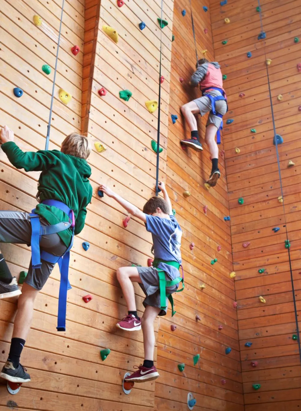 Kids on the Camp Hanes climbing wall